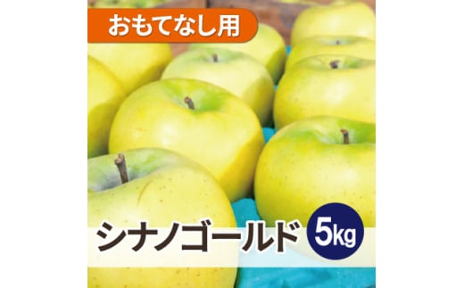 ＜26年3月より順次発送＞平均糖度13度以上! シナノゴールド 約5kg おもてなし用【1610047】