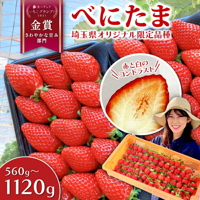 【ふるさと納税】 【事前受付】いちご べにたま 560g 1.12kg 選べる 容量 苺 イチゴ ストロベリー 冷蔵 期間限定 新鮮 朝どれ 採れたて 金賞受賞 オリジナル品種 ブランド苺 産地直送 果物 くだもの フルーツ デザート 冷蔵 送料無料 ふるさと納税 げんき農場 埼玉県 羽生市