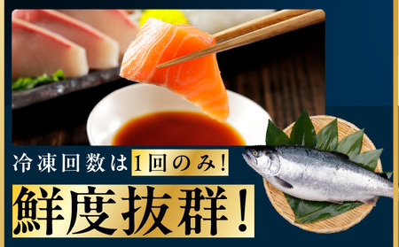 【定期便】ノルウェー産 プレミアム アトランティックサーモン 1kg 【2026年2月＆5月発送】