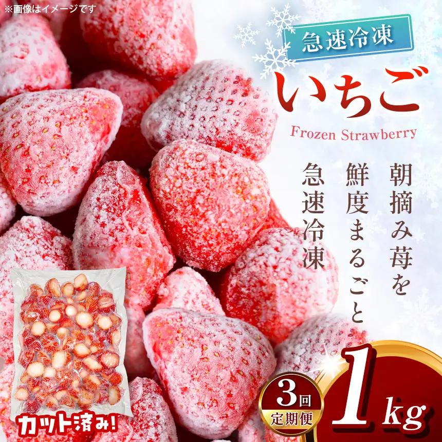 【定期便3回】冷凍いちご とちあいか 1kg カット済み 訳あり