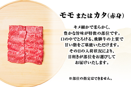 贅沢！ 飛騨牛 モモまたはカタ 焼肉用 500g 2～3人前 牛肉 和牛 肉 焼肉 BBQ 霜降り カルビ 赤身 モモ カタ 東白川村 岐阜 養老ミート