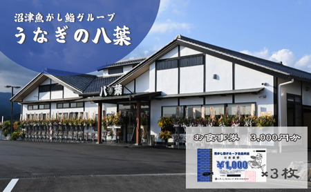 お食事券 うなぎの八葉 沼津魚がし鮨グループ 3,000円分 うなぎ すし 天ぷら 和食 静岡 裾野市