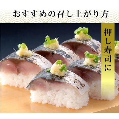 ふるさと納税 石巻市 【訳あり】国産あぶりしめさば 4枚入 4パック しめ鯖 冷凍 無着色 サバ お刺身 お寿司 おかず |  | 02