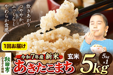 《令和7年産 新米先行受付》 米 あきたこまち 5kg 【玄米】 秋田県産