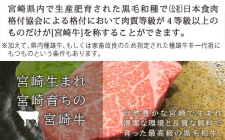 宮崎牛 牛肉 ヒレ ブロック 1kg 希少部位 フィレ ヘレ 牛肉 ステーキ 焼肉 真空 冷凍 牛肉 内閣総理大臣賞受賞 牛肉 宮崎県産 送料無料 希少部位 牛肉