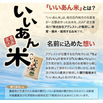 ふるさと納税 酒田市 【無洗米】はえぬき 5kg(5kg×1袋) 農家直送『いいあん米』 |  | 01