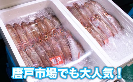 のどぐろ 500g up 1尾 特大 サイズ 冷凍 アカムツ 下関 唐戸市場 直送 ( のどぐろ 下関名産のどぐろ 下関水揚げのどぐろ 高級魚のどぐろ 白身のどぐろ 刺身や煮つけにおすすめのどぐろ お