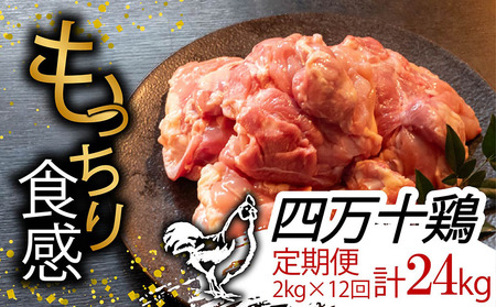 【定期便12回】銘柄鶏 四万十鶏 もも肉 計24kg（2kg×12ヶ月連続お届け) Uコース | 切身 カット 時短 小分け カット済み 鳥肉 とりにく 鶏もも 冷蔵 国産 ブランド 唐揚げ 煮物 鍋 チキン 南蛮 高知県 須崎市 TM23000 鶏肉定期便鶏肉定期便鶏肉定期便鶏肉定期便鶏肉定期便鶏肉定期便鶏肉定期便鶏肉定期便鶏肉定期便鶏肉定期便鶏肉定期便鶏肉定期便鶏肉定期便鶏肉定期便鶏肉定期便鶏肉定期便鶏肉定期便鶏肉定期便鶏肉定期便鶏肉定期便鶏肉定期便鶏肉定期便鶏肉定期便鶏肉定期便鶏肉定期便鶏肉定期便鶏肉