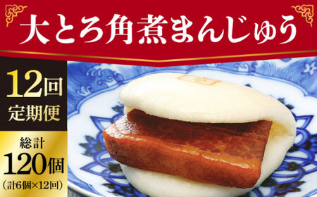 【全12回定期便】 長崎 大とろ角煮まんじゅう 10個  [DBG045] 定期便 角煮 長崎県