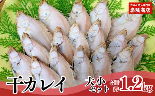 【干物 干カレイセット 合計1.2kg以上（大5～8枚 約600g、小11～15枚 約600g）香住産 冷凍】 ふるさと納税 送料無料 南蛮漬 唐揚げ お酒のお供 日本海 香住港 柴山港 兵庫県 香美