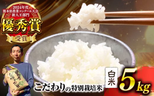 【先行予約】 【令和7年度】 くまさんの輝き 白米 5kg (1袋) （2025年10月下旬ごろ順次発送） 【坂本農園】 [AYCC021]
