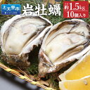 【ふるさと納税】岩牡蠣 10個 合計約1.5kg 1個あたり150g 牡蠣 カキ かき 殻付き 加熱用 魚介類 魚貝類 貝類 海産物 冷蔵 天草産 九州産 国産 送料無料