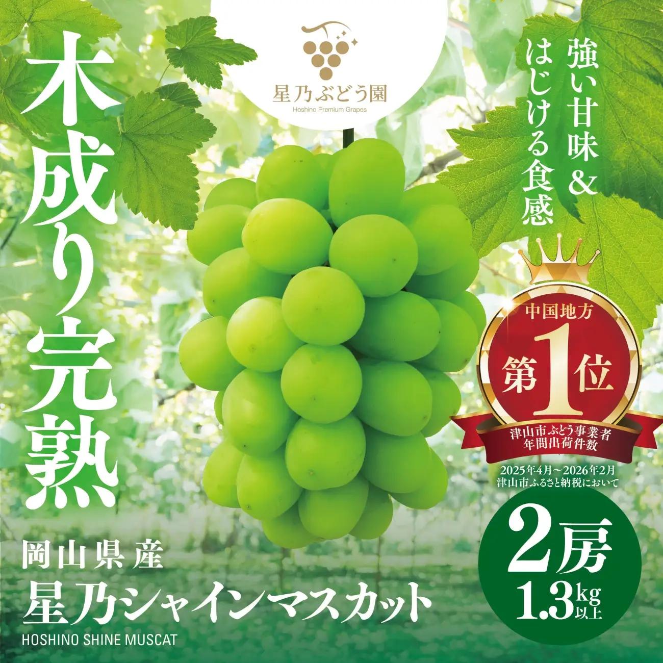 星乃 シャインマスカット 1.3kg以上 2房 数量限定 岡山県産 ぶどう フルーツ 人気ぶどう【配送不可地域：離島・北海道・沖縄県】【1418979】