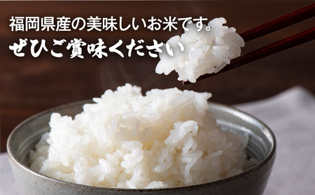 【令和7年産】 福岡県 大木町産 元気つくし 20kg　BC05