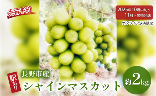 2026年産ぶどう 先行予約 長野県産 シャインマスカット 約2kg 訳あり 葡萄 ブドウ 果物 フルーツ シャイン マスカット デザート おやつ 信州