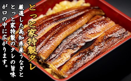 鰹のたたき 1節 うなぎの蒲焼き 1尾｜鰹 かつお 国産うなぎ
