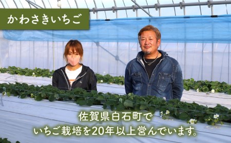 【先行予約】【農家直送】赤白「いちごさん」＆「パールホワイト」セット各220g /赤いちご 白いちご 紅白いちご 赤白いちご 甘〜いいちご 食べ比べパックいちご イチゴ 苺  佐賀県産いちご ブランド