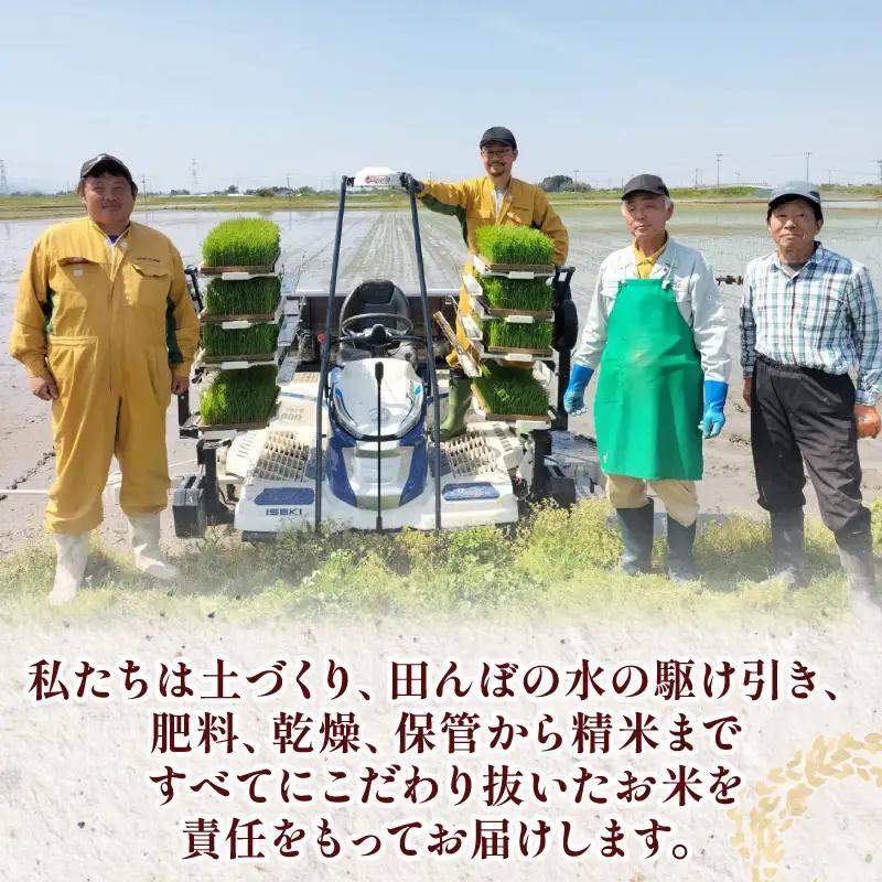 【新米 定期便】 6kg × 12ヶ月 令和8年産 新潟県産 特別栽培米コシヒカリ 米 お米 ごはん 白米 コシヒカリ 佐々木耕起組合 プレゼント ギフト 贈答 定期便 特別栽培米 佐々木耕起 佐々木