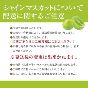 【産地直送】山梨県産：シャインマスカット　1.3～1.5箱(2～3房)　ないとうぶどうファーム [5839-1926]