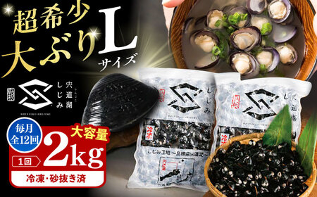 【全12回定期便】地元でも入手困難なレアサイズ！ Lサイズ 宍道湖産ヤマトシジミ(冷凍砂抜き済み)1kg×2袋(2kg) 島根県松江市/宍道湖漁業協同組合[ALAZ011]