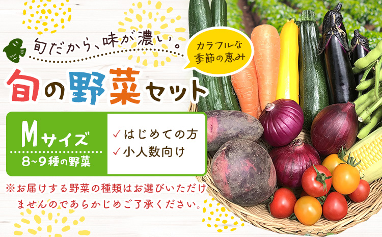 野菜 旬の野菜セット Mサイズ 約8～9種 《30日以内に出荷予定(土日祝除く)》 ベジLIFE!!  季節の野菜  料理 甘い 採れたて トマト 新玉ねぎ じゃがいも キャベツ 白菜 ベジライフ 千葉県 我孫子市【配送不可地域あり】（沖縄・離島）
