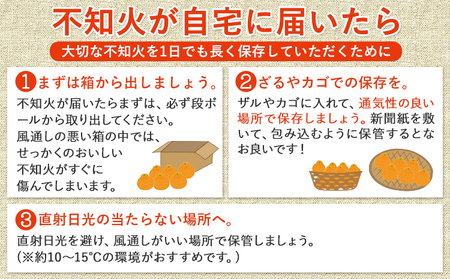 【先行予約】みかん 不知火 訳あり 不知火 10kg 