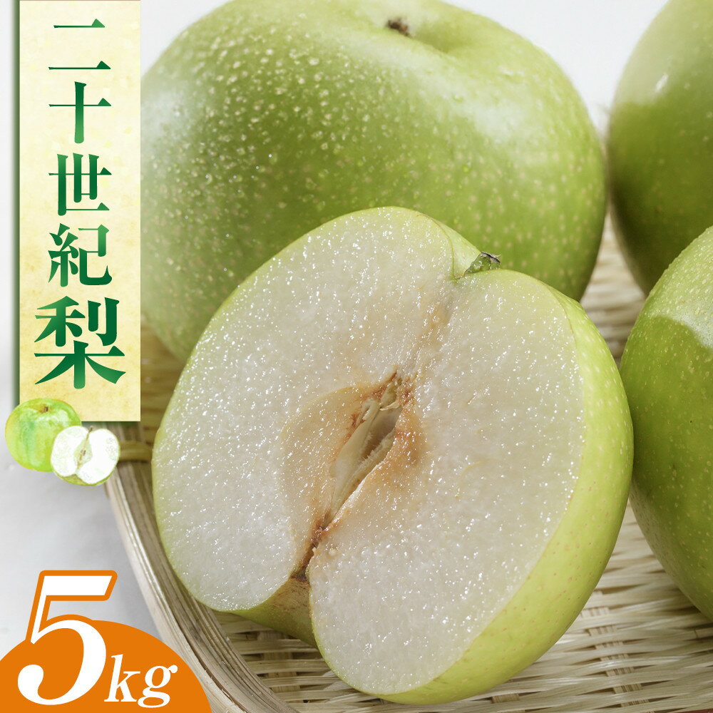 【ふるさと納税】278.二十世紀梨 5kg（JA）※2026年8月下旬～9月上旬頃に順次発送予定 | 先行予約 フルーツ 梨 なし ナシ 新甘泉 秋 旬 果物 くだもの 5kg 鳥取県 北栄町 おすすめ 人気 送料無料 レビュー キャンペーン実施中
