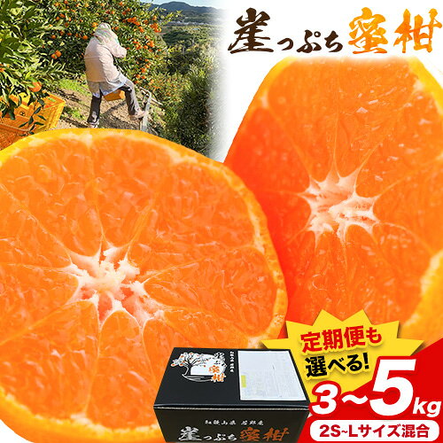【ふるさと納税】みかん ご家庭用 崖っぷち蜜柑 若野産 選べる内容量 約3kg 約5kg 定期便 2回 2S〜Lサイズ混合 《2026年11月下旬-1月上旬頃出荷予定》 崖っぷち蜜柑 和歌山県 日高川町 みかん 柑橘 フルーツ 果物 ミカン 送料無料