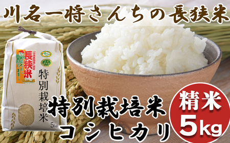 【千葉県知事賞受賞】川名一将さんちの長狭米 特別栽培米コシヒカリ5kg【精米】 [0014-0035]