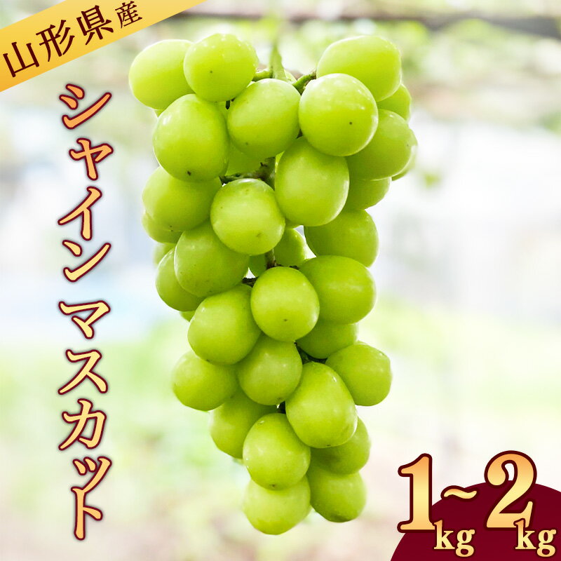 【ふるさと納税】山形県産 《選べる》新鮮 シャインマスカット 1kg - 2kg 【2025年9月中旬〜10月頃発送予定】 ／ 産地直送 秋 フルーツ 果物 山形県 東北 人気 おすすめ 種なし 旬 こだわり 新鮮 美味しい 農家 送料無料 故郷納税 寒河江市