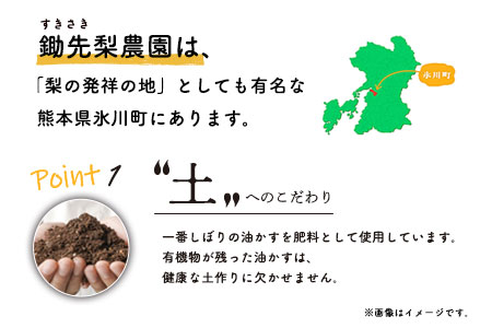  令和8年産 鋤先家 の ひのひかり 6kg (2kg×３袋) 熊本県氷川町産 鋤先梨農園《30日以内に順次出荷(土日祝除く)》---hkw_26_snn_3_6kg---