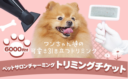 トリミング チケット 6,000円分 犬 ペットサロンチャーミング《30日以内に出荷予定(土日祝除く)》千葉県 流山市 ペット 愛犬 ワンちゃん お手入れ 健康 体験