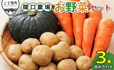北海道産 お野菜セット じゃがいも にんじん カボチャ 北海道 上士幌町 関口農場 野菜 詰め合わせ 産地直送 ◆2025年10月配送予定