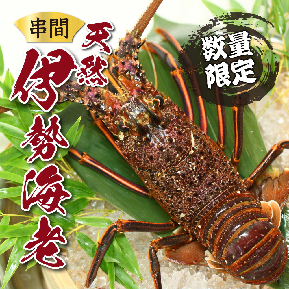 【ふるさと納税】＜期間・数量限定＞ 選べる容量！串間市産！天然イセエビ 600g〜3.6kg 鮮度抜群の伊勢海老を食卓へお届け！イセエビ 伊勢海老 エビ えび 海老 刺身 ボイル 天然 宮崎県 送料無料【串間市漁業協同組合】【L-CDEF】