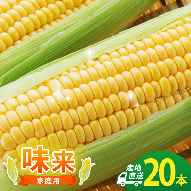 【ふるさと納税】とうもろこし 味来 家庭用 20本 訳アリ トウモロコシ 宮城県産 甘い 夏 朝採れ 訳あり 産地直送 宮城県 大河原町　お届け：2026年7月中旬から8月下旬まで