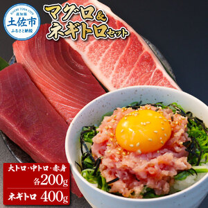 本マグロ 本鮪 大トロ・中トロ・赤身各200g ネギトロ400g(200g×2)  高知県土佐市 【株式会社大熊】 [BQAA034]