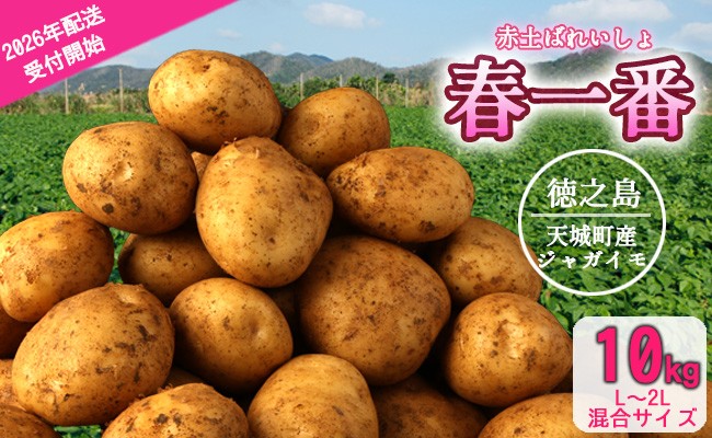 
                  【終了間近】徳之島 天城町産 赤土ばれいしょ 新じゃが【春一番】10kg L～2L 混合サイズ ジャガイモ じゃがいも ばれいしょ バレイショ F-5-N
                