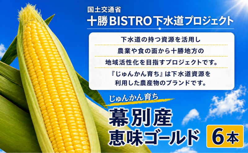 2027年発送先行予約 北海道 十勝 幕別産 とうもろこし 恵味ゴールド 6本「じゅんかん育ち」北王農林［十勝BISTRO下水道プロジェクト］【 とうもろこし とうきび コーン 野菜 フルーツ 甘い 】