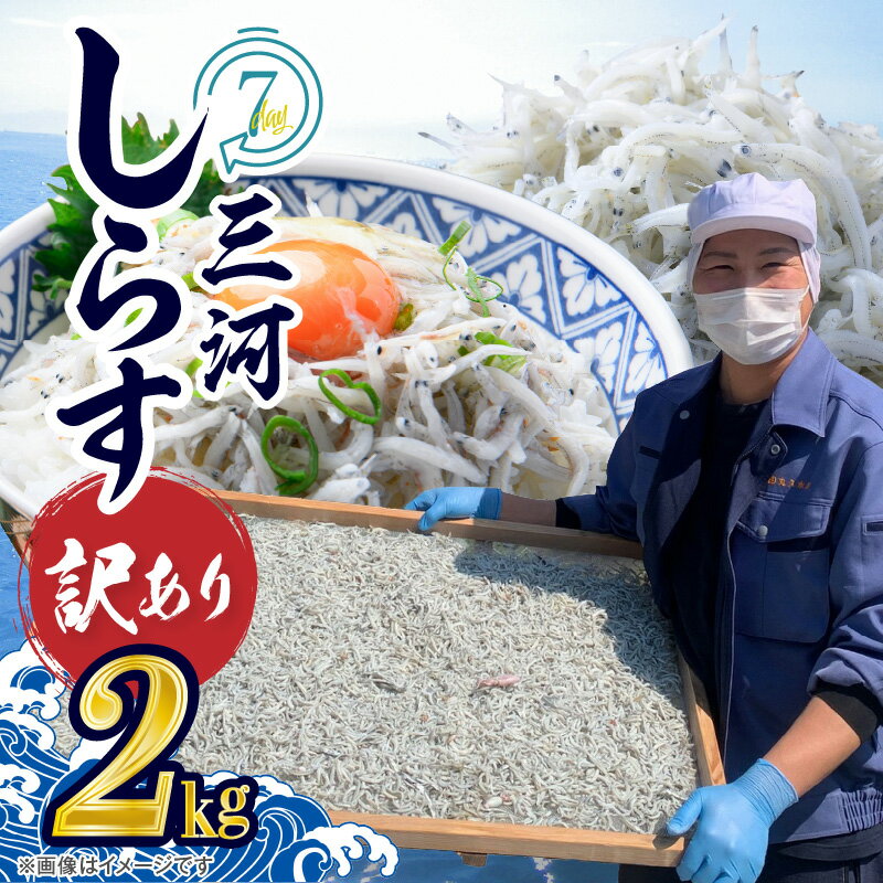【ふるさと納税】高評価☆4.81 訳あり しらす干し 国産 1kg × 2 計 2kg 逸品 釜茹で 不揃い しらす 鮮度抜群 三河しらす 塩分控えめ まろやかな味 やみつき ご飯のお供 おつまみ 酒の肴 おやつ しらす丼 サラダ 海産物 冷凍 お取り寄せ グルメ 食品 愛知県 碧南市 送料無料