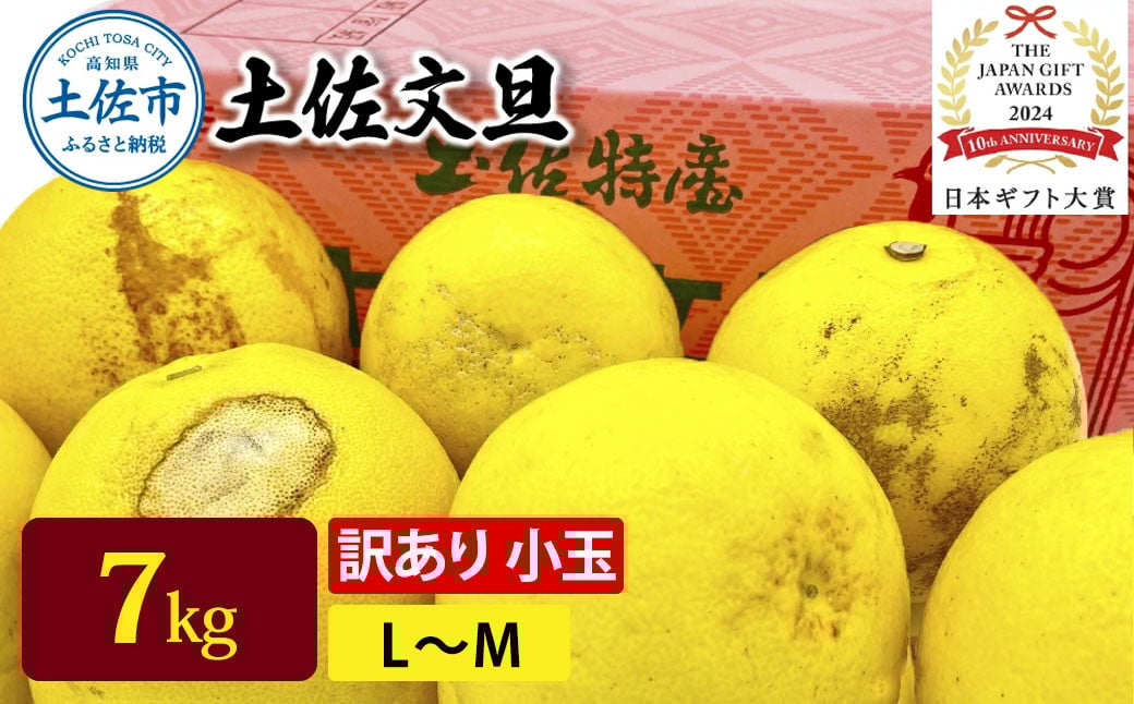 
            日本ギフト大賞受賞 園主こだわり土佐文旦 訳あり 小玉（L～M）7kg 7キロ 文旦 土佐文旦 ワケアリ ぶんたん ぼんたん フルーツ 果物 柑橘 みかん 蜜柑 家庭用 自宅用 高知 土佐 国産 常温
          