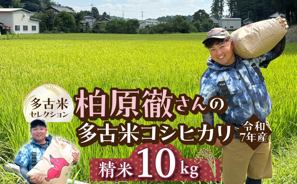 
                  多古米セレクション　柏原徹さんの多古米コシヒカリ　精米10kg　令和7年産 TAKF062
                
