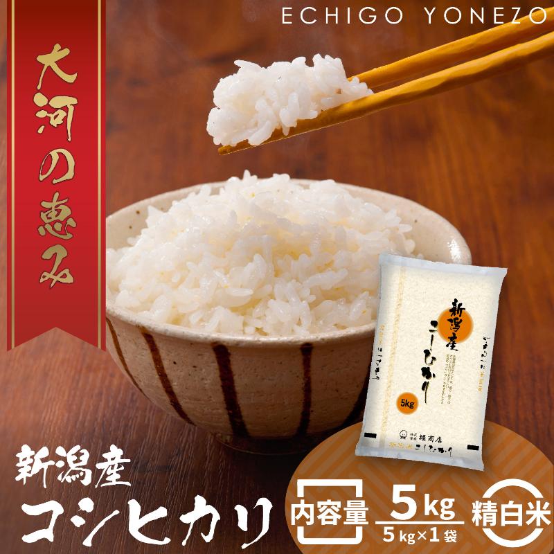 【ふるさと納税】新潟市産コシヒカリ 白米 5kg お米 精米 ご飯 代表 自然 飽きない 自信 美味しい