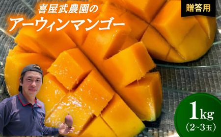 【先行受付・2026年6月から順次発送・贈答用】喜屋武農園のアーウィンマンゴー1kg(2～3玉)【配送不可地域：離島】【1694604】