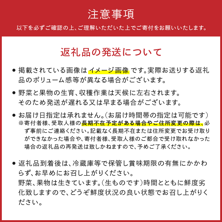 江刺金札米ひとめぼれ 無洗パック米と岩手県産野菜セット【翌月発送】離島配送不可 [AQ032]