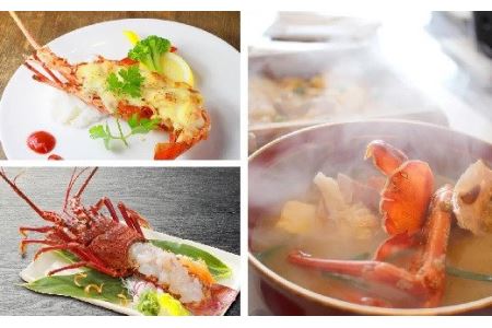 活伊勢エビ 約1kgセット （２〜４尾）《10月12日～4月期間限定出荷：先行予約も可（到着日時指定必須商品）》　HA-56