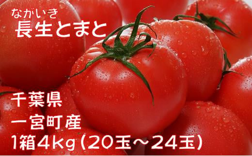 長生（ながいき）とまと１箱（20～24個(約4kg)）一宮町産 トマト 先行予約