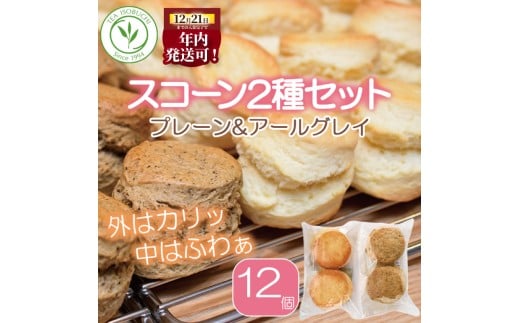年内発送 !  (12/21 決済完了分まで) スコーン 12個 セット 2種 ( プレーン 6個 アールグレイ 6個 ) 焼き菓子 お菓子 焼菓子 おやつ 洋菓子 デザート スイーツ 人気 発酵 バター コク 風味 すこーん 常温 ミルクティー 手土産 ギフト プレゼント 手作り 10000円 紅茶 茶 専門店 ティー イソブチカンパニー 神奈川 湘南 藤沢