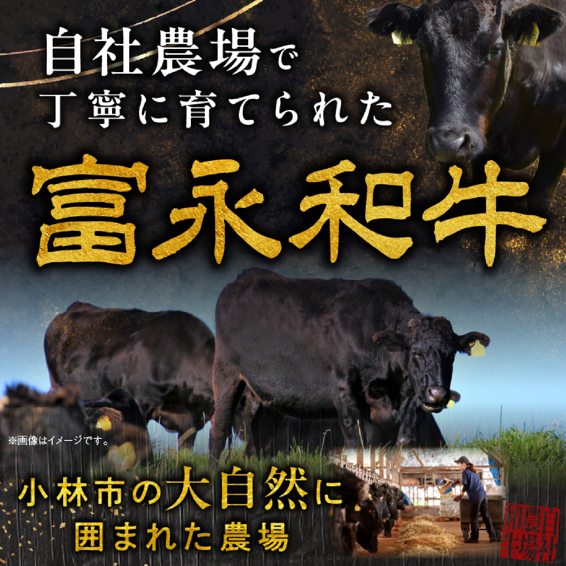 【自社牧場和牛】小林市産 黒毛和牛 赤身ステーキ 200g×4枚（牛肉 国産牛 黒毛和牛 和牛 赤身 ステーキ）_イメージ5