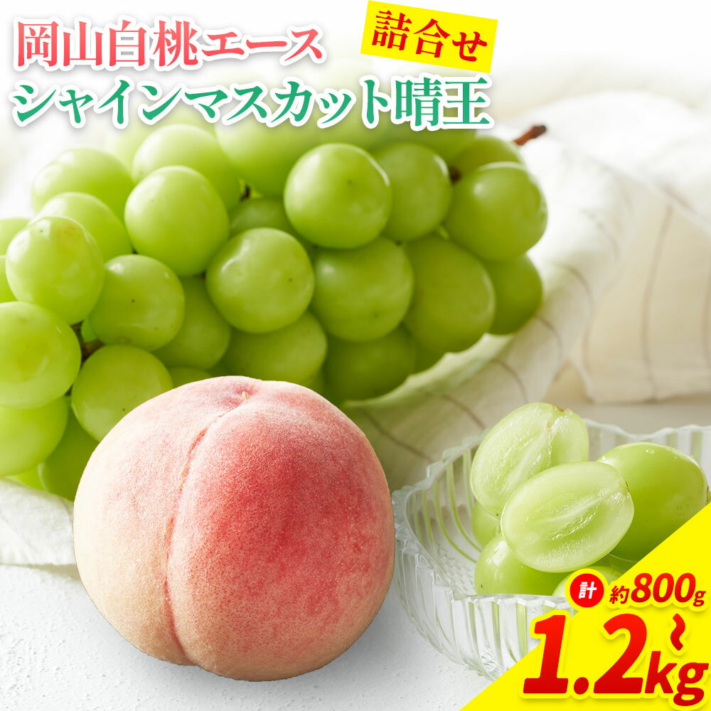 【ふるさと納税】【2026年先行予約】岡山県産 岡山白桃 エース L~ 3Lサイズ シャインマスカット 選べる 計 800g 1kg 1.2kg 詰合せ 株式会社 はちや《2026年7月上旬-8月下旬頃出荷》もも 岡山 国産 フルーツ 果物 岡山県 浅口市 フルーツ モモ 果物【配送不可地域あり】