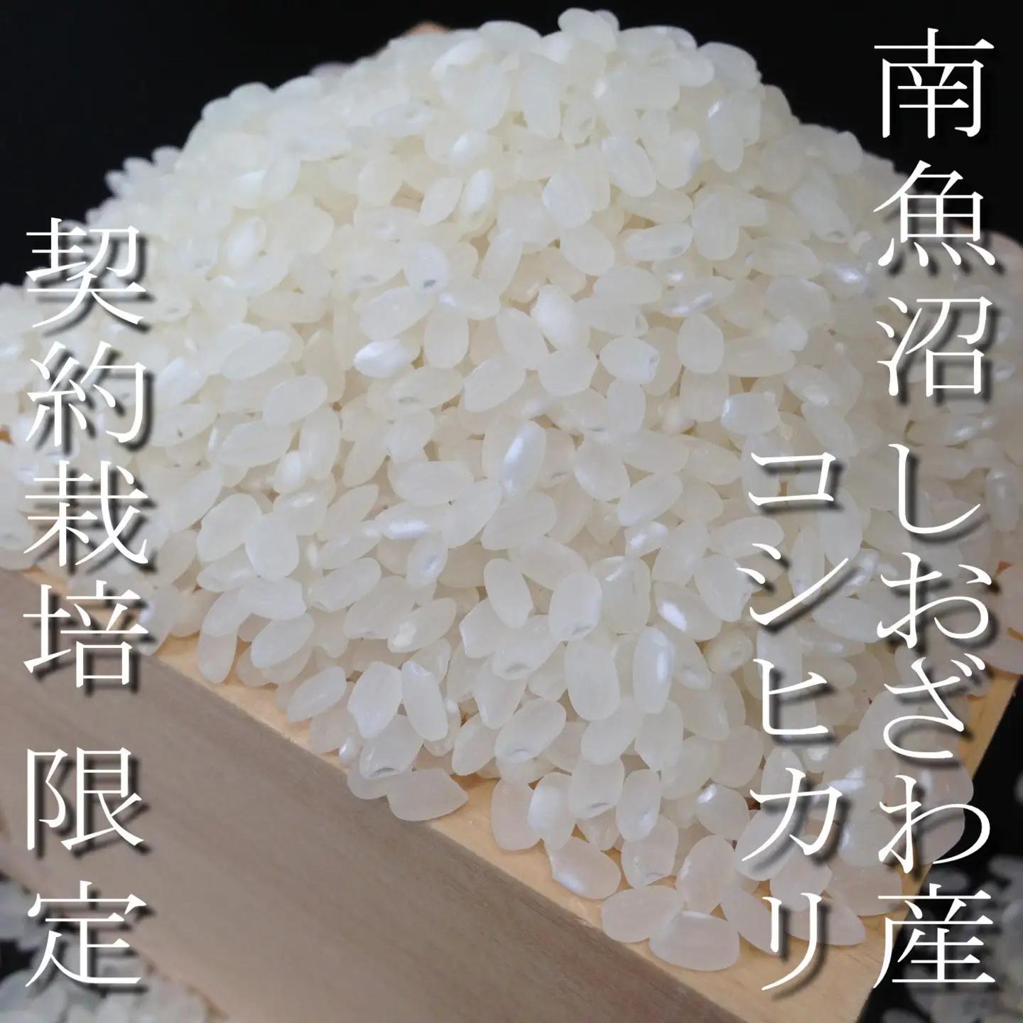 【令和8年　新米予約】定期便12ヶ月：精米2Kg 契約栽培限定 南魚沼しおざわ産コシヒカリ【2026年10月上旬から1ヶ月以内に順次発送予定】｜コシヒカリ